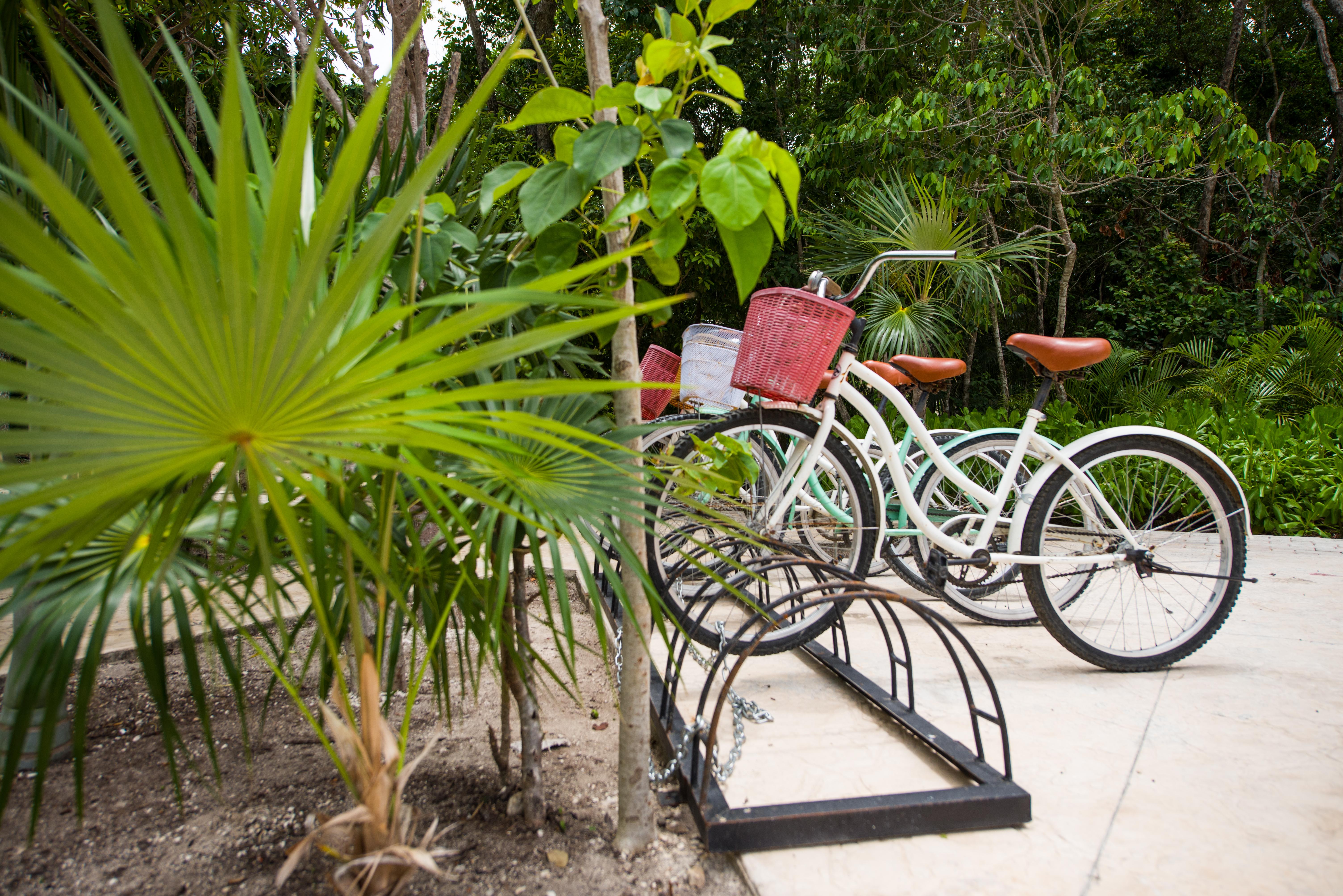 Naay Tulum Curamoria Collection エクステリア 写真